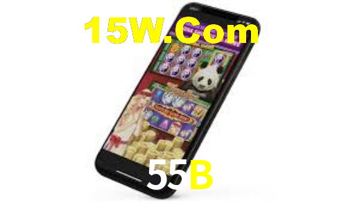 55B Vip