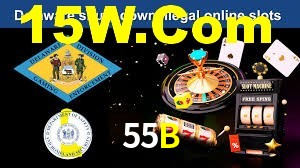 55B App Interface